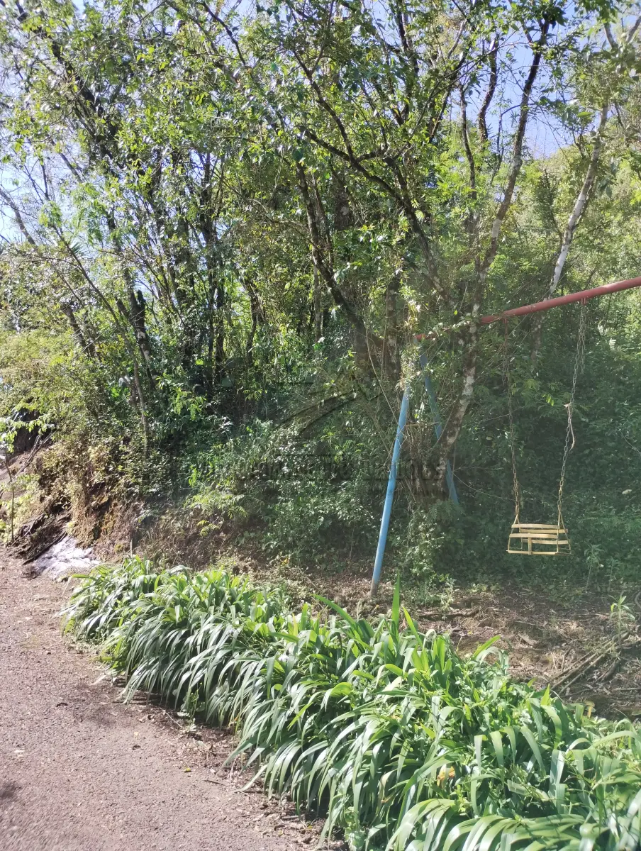 LOTE 003