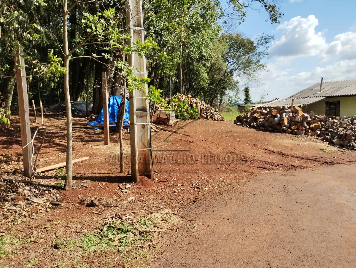 LOTE 009