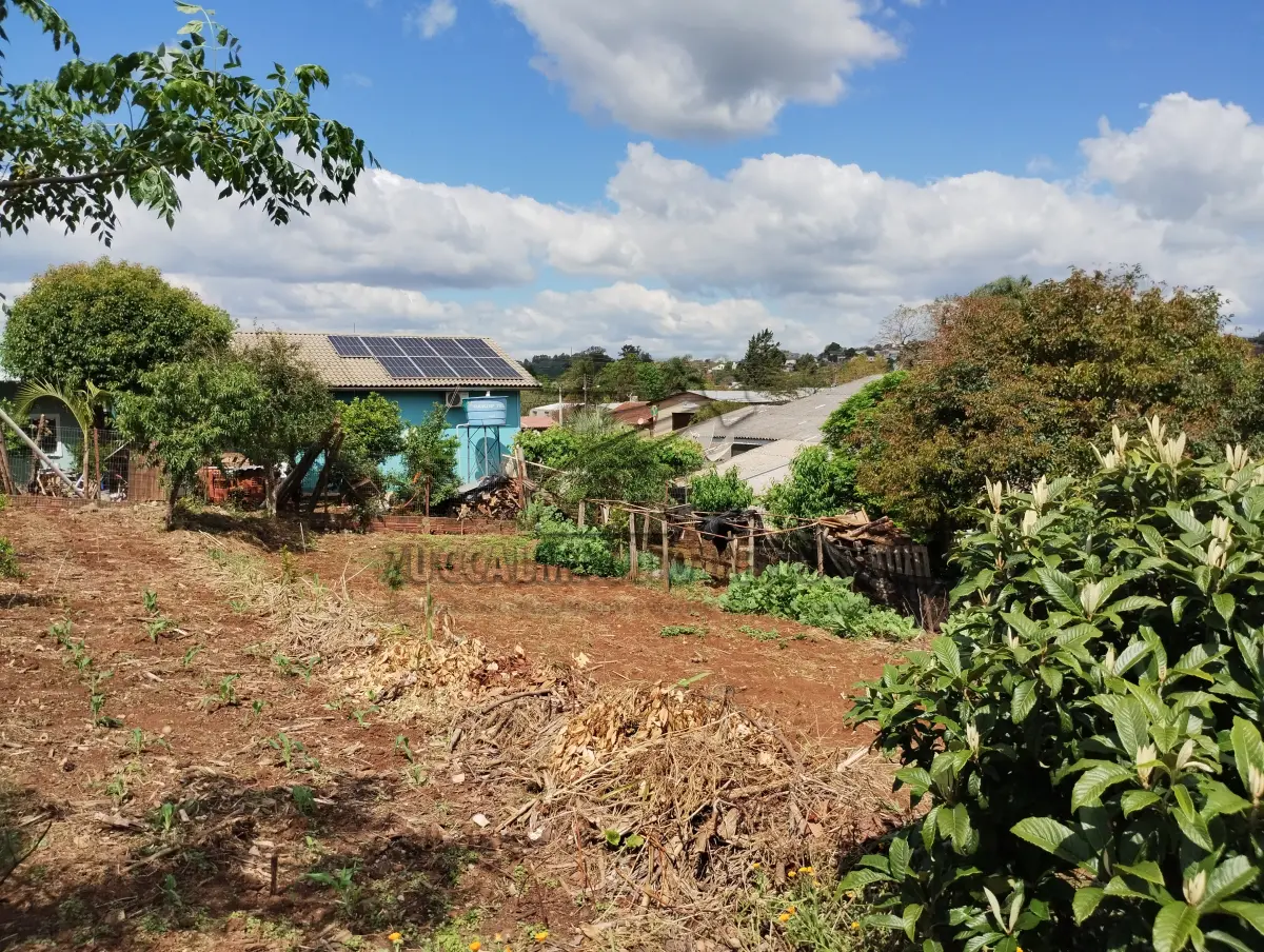LOTE 006 - terreno Rua Prudencio Cardoso (matricula 22143)
