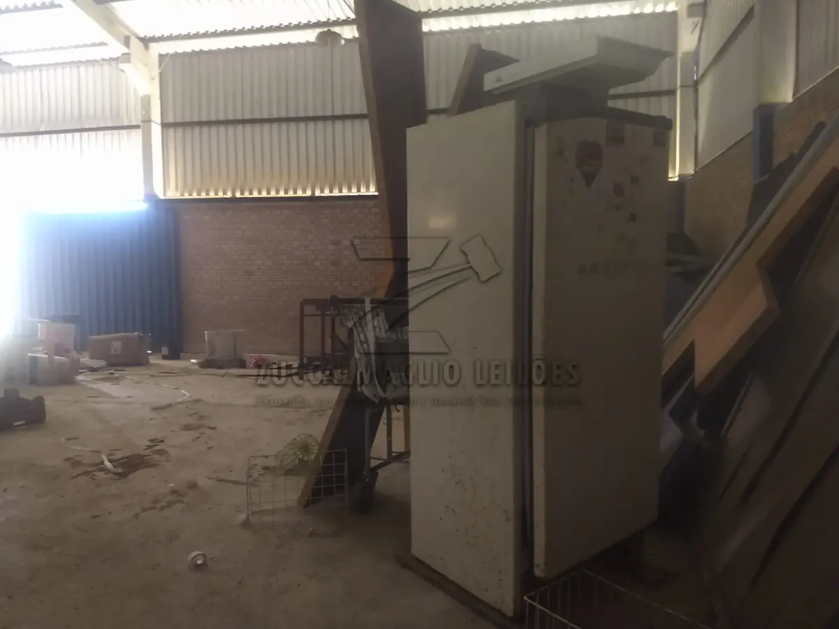 LOTE 019