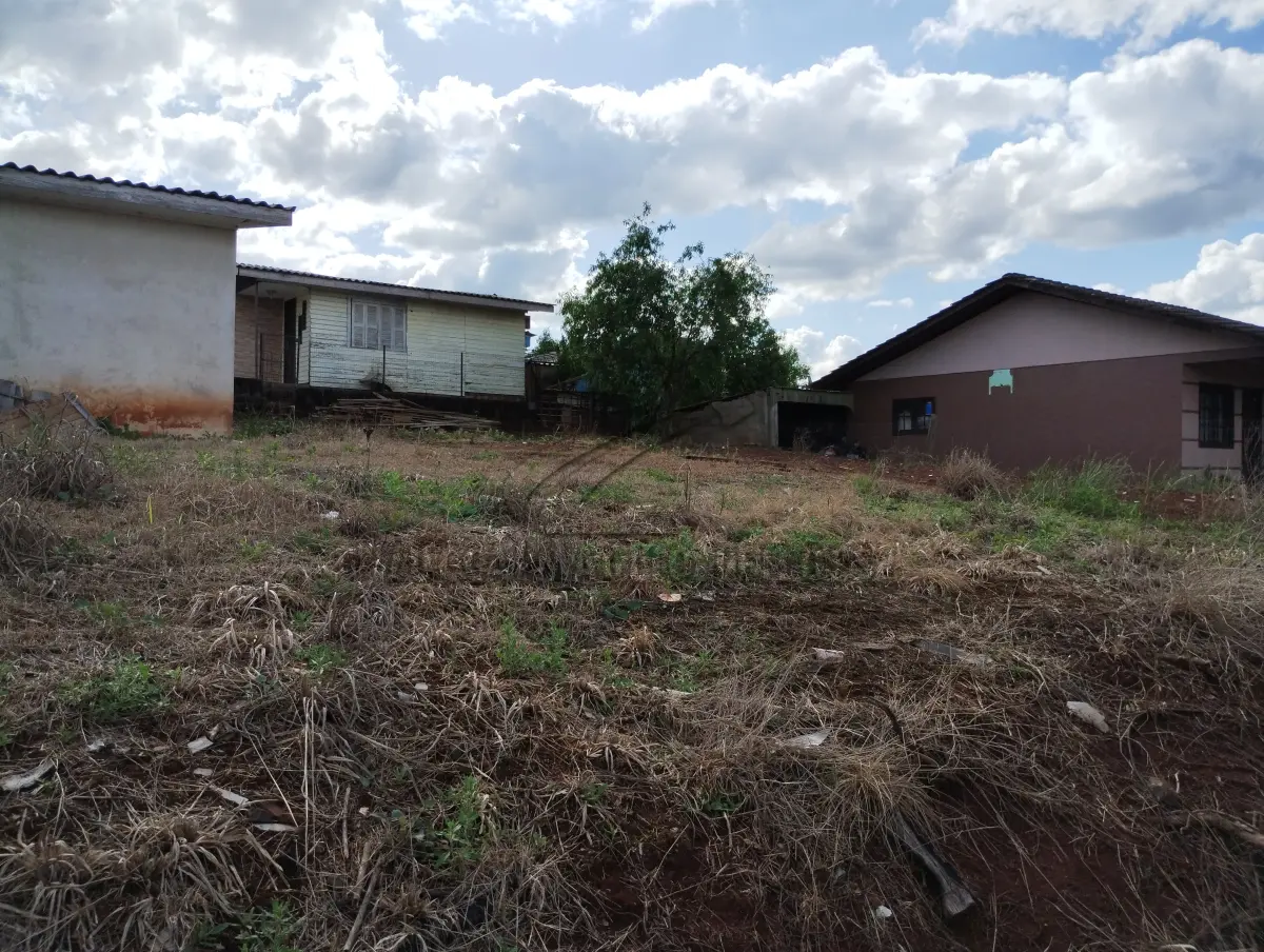 LOTE 001