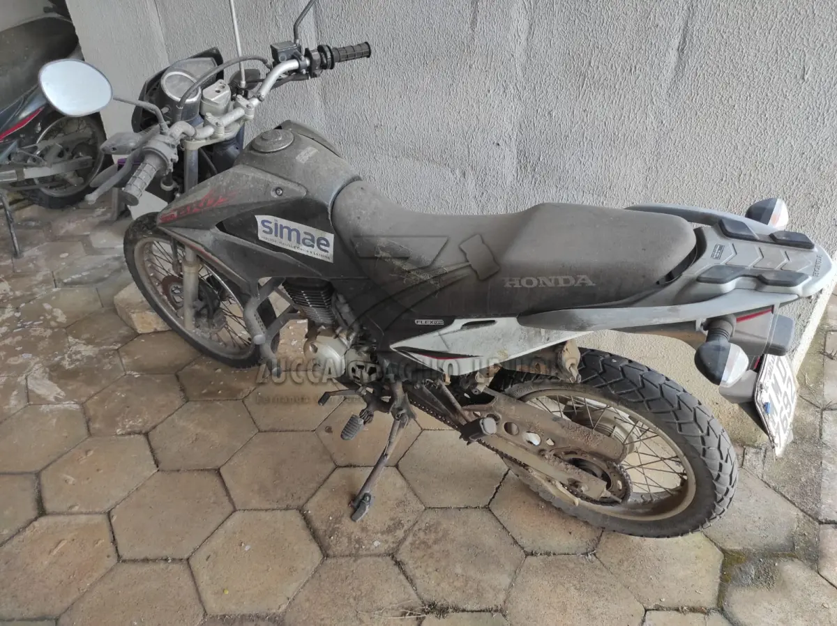 LOTE 009