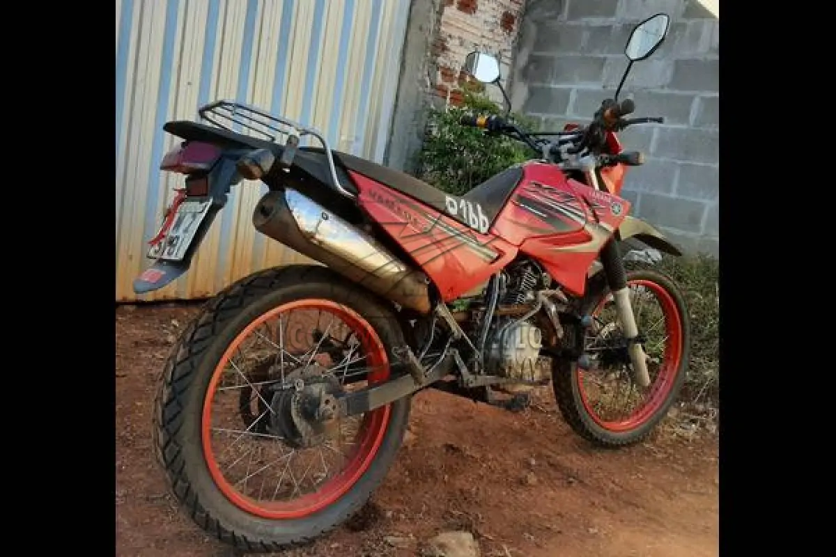 LOTE 0166