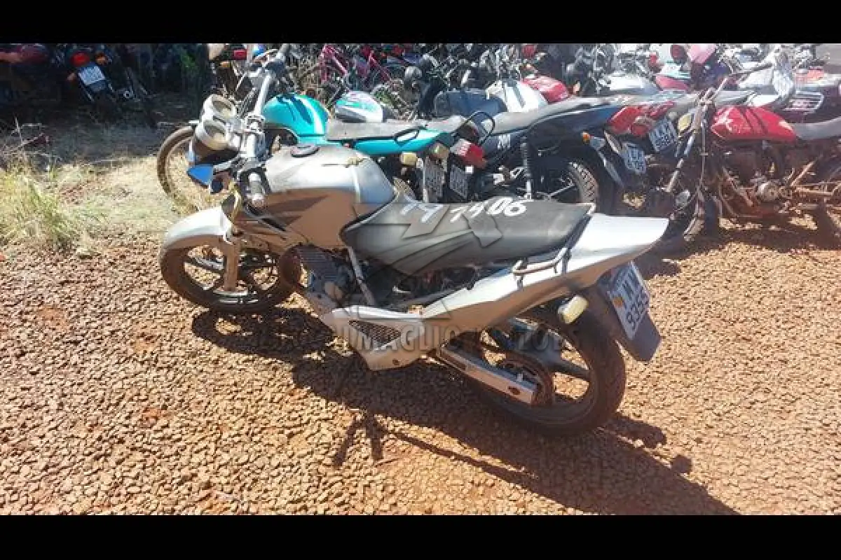 LOTE 0099