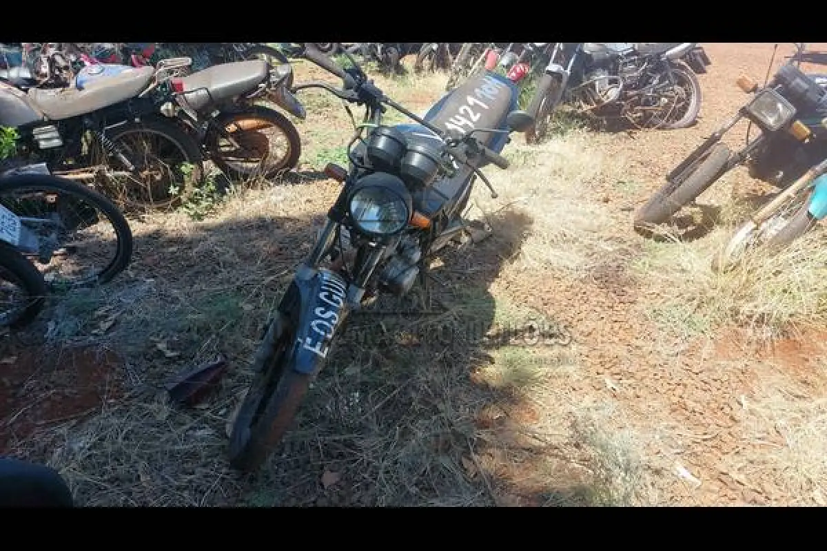 LOTE 0104