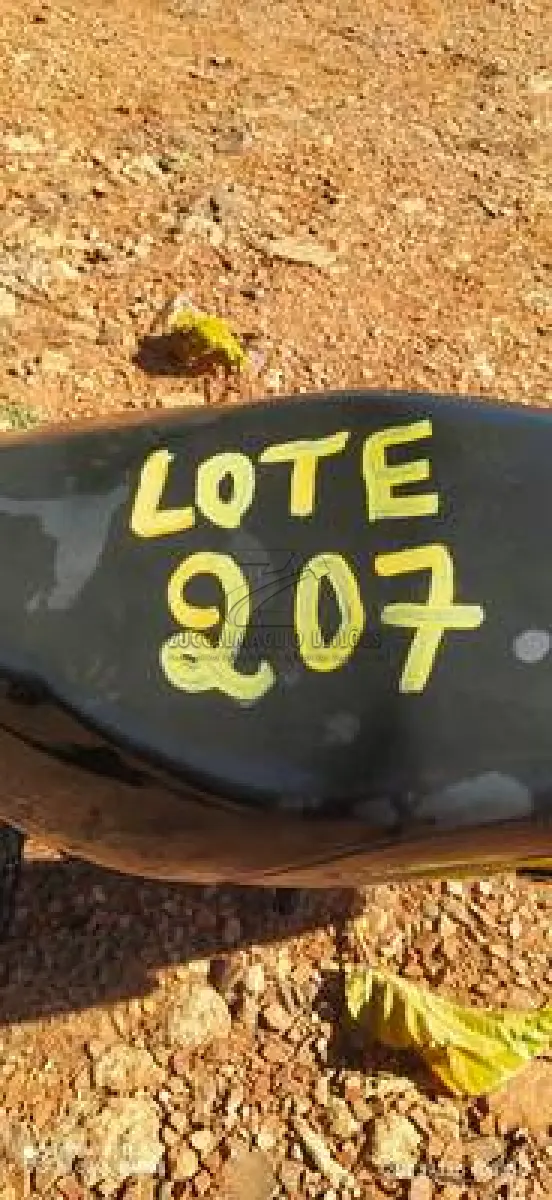 LOTE 0207