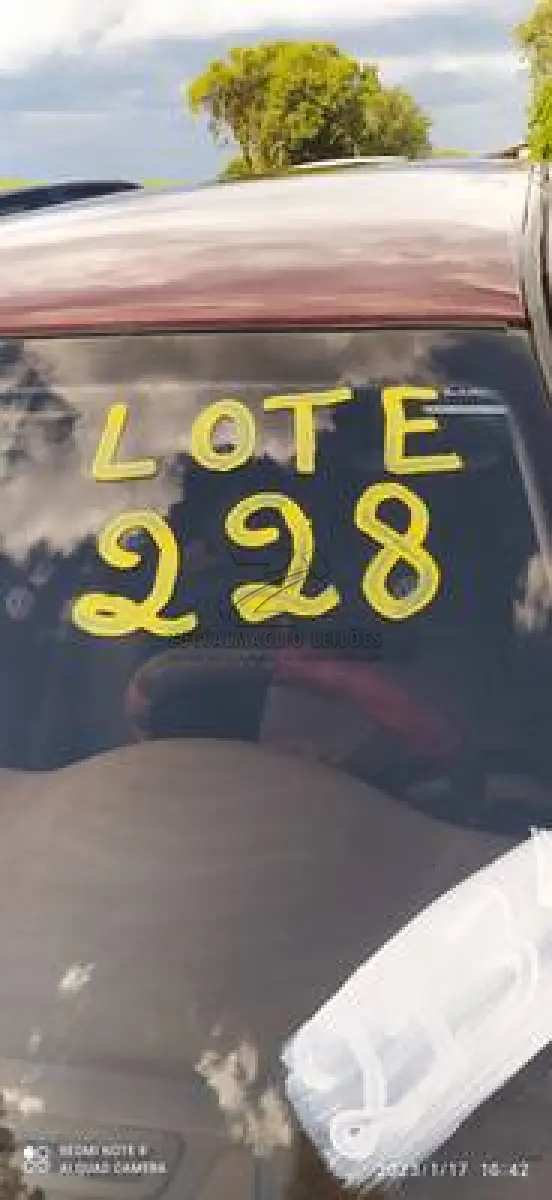 LOTE 0228