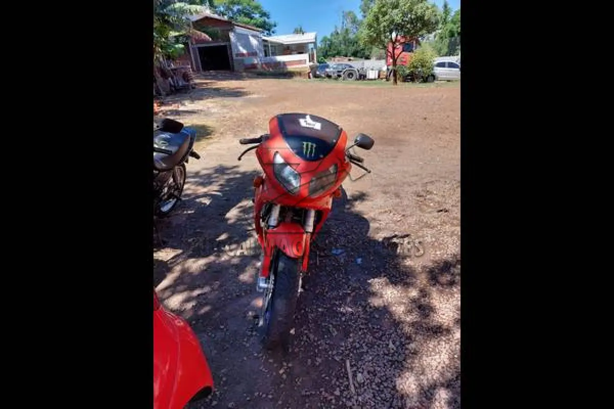 LOTE 0241