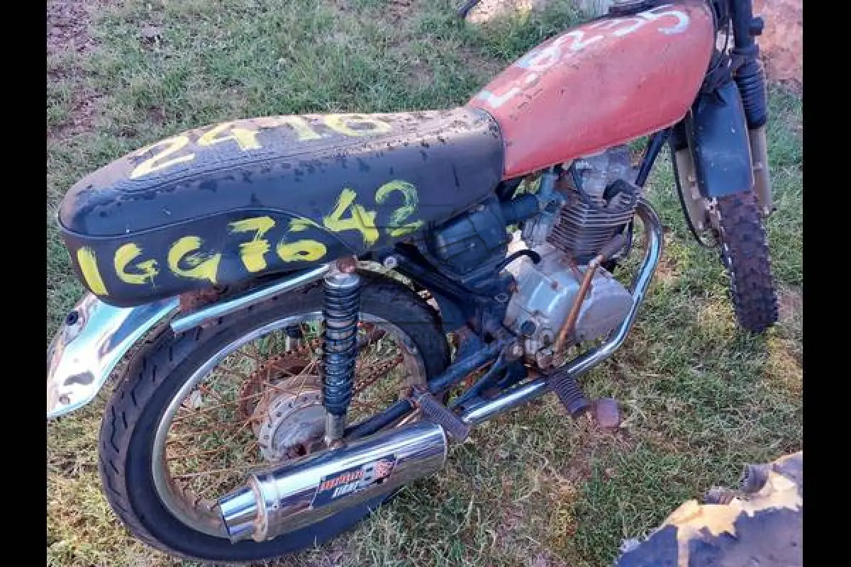 LOTE 0235