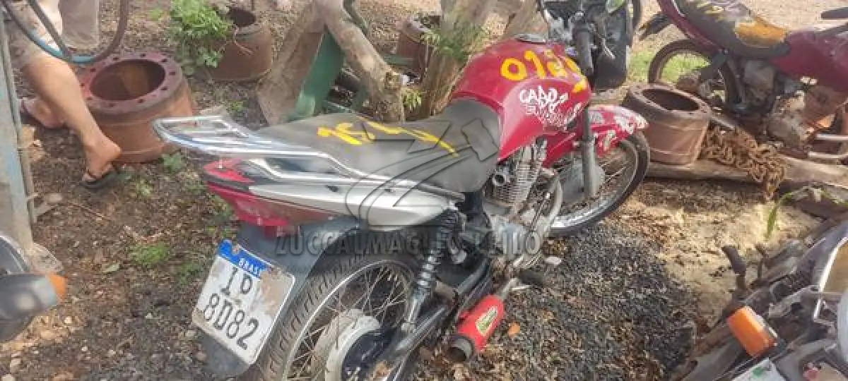LOTE 0125