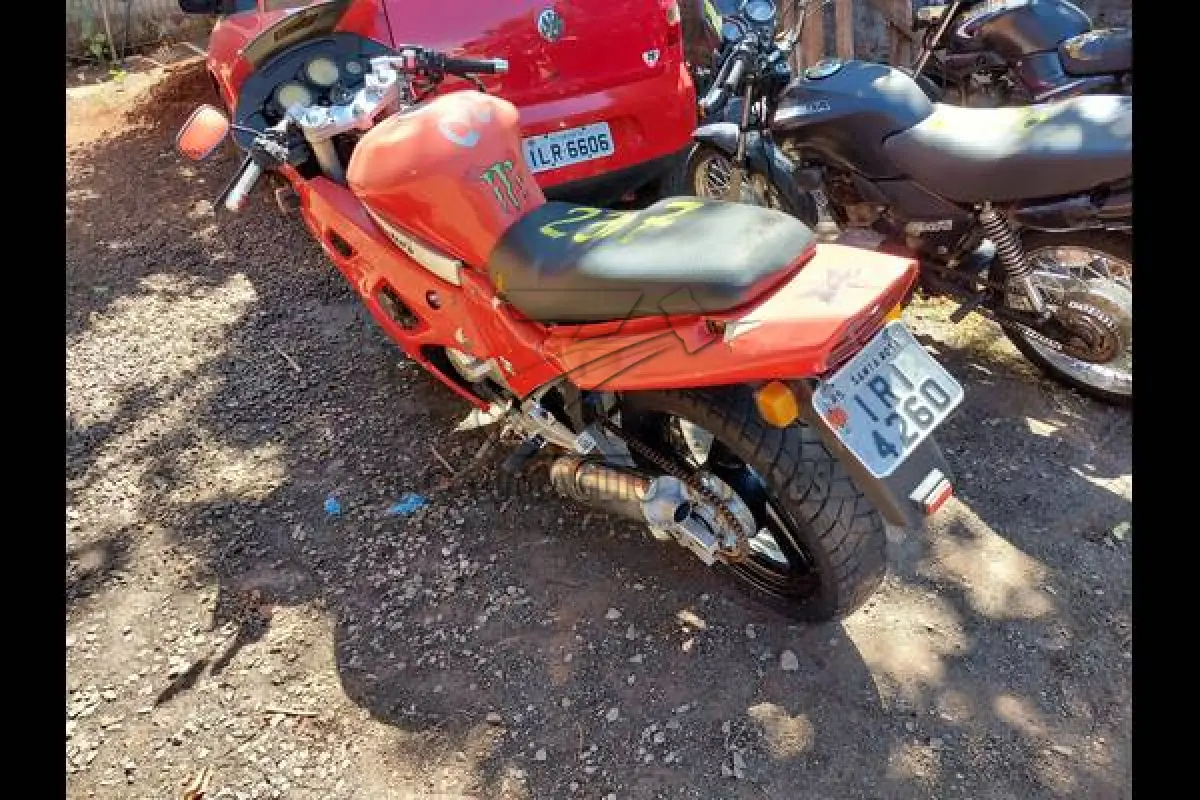 LOTE 0241