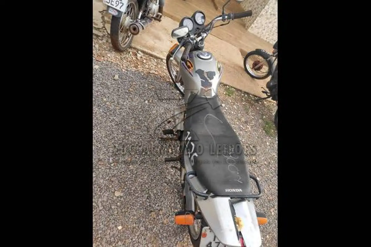 LOTE 0082