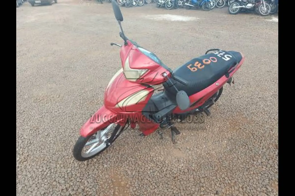 LOTE 0039