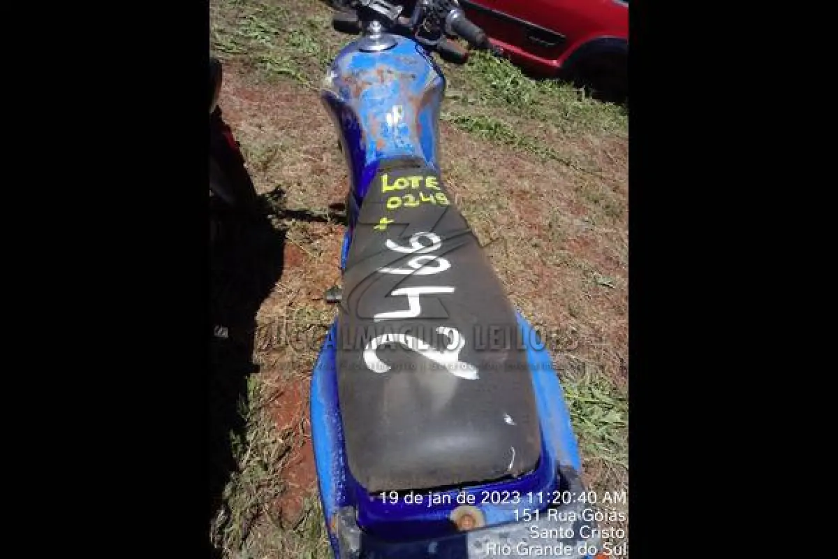 LOTE 0249
