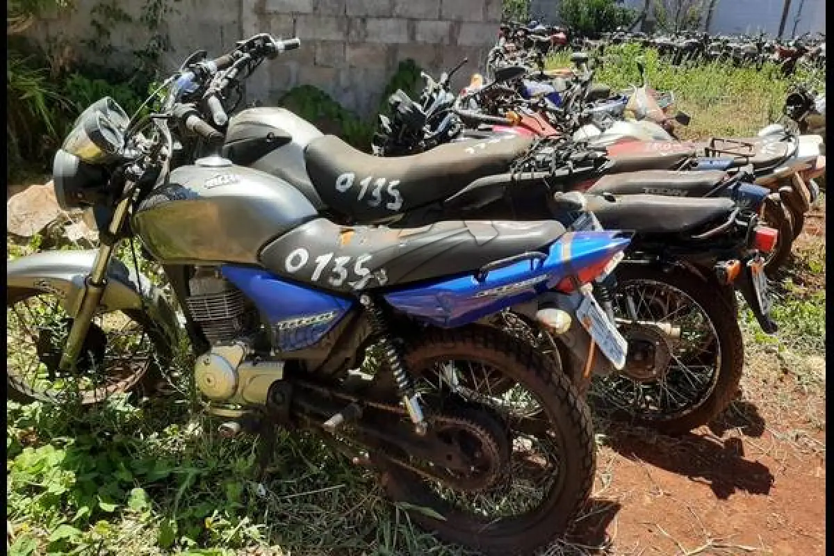 LOTE 0135