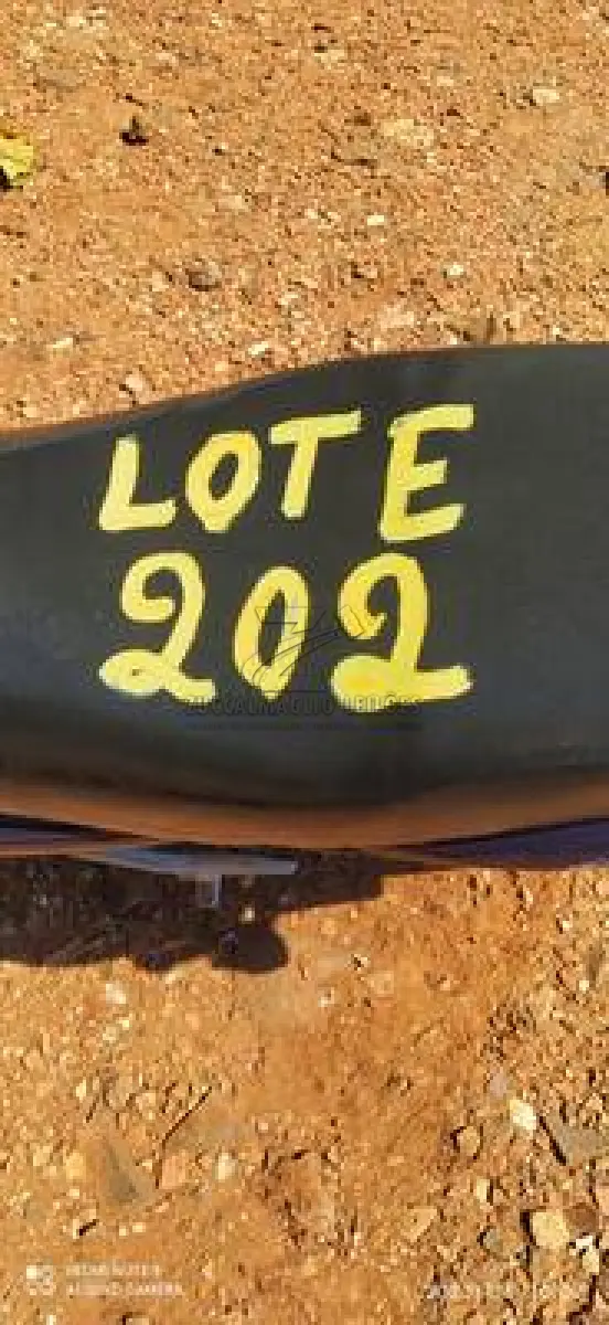 LOTE 0202