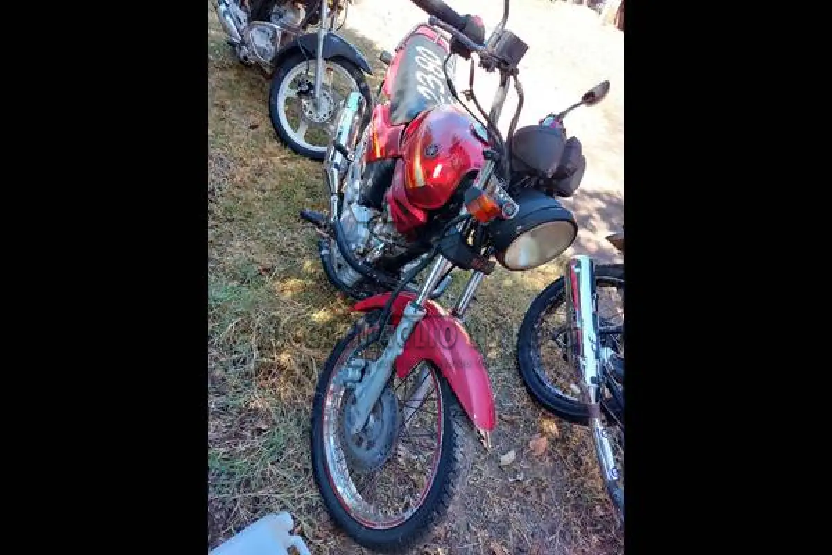 LOTE 0242