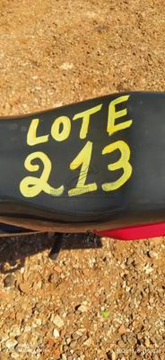 LOTE 0213