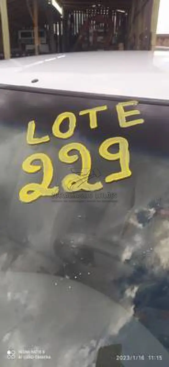 LOTE 0229