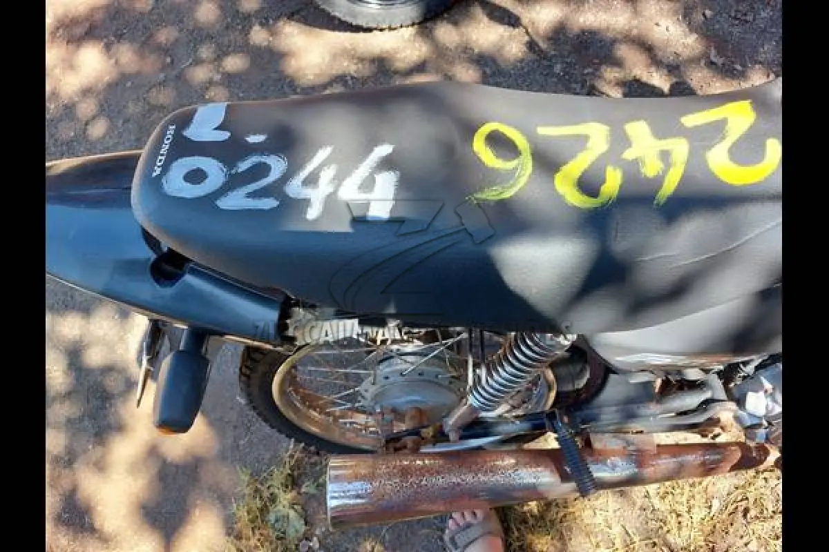 LOTE 0244