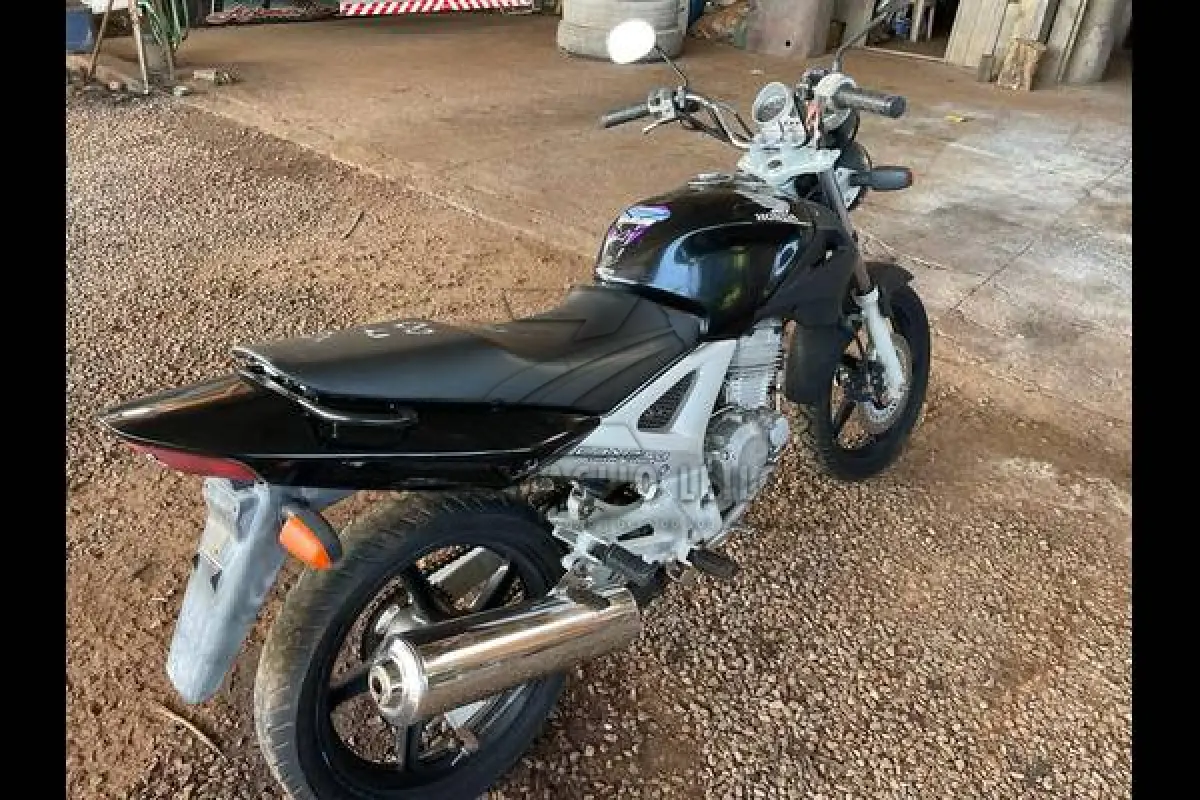 LOTE 0073