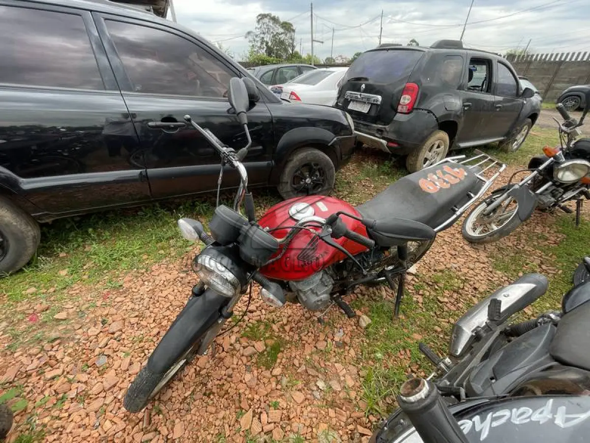 LOTE 0133