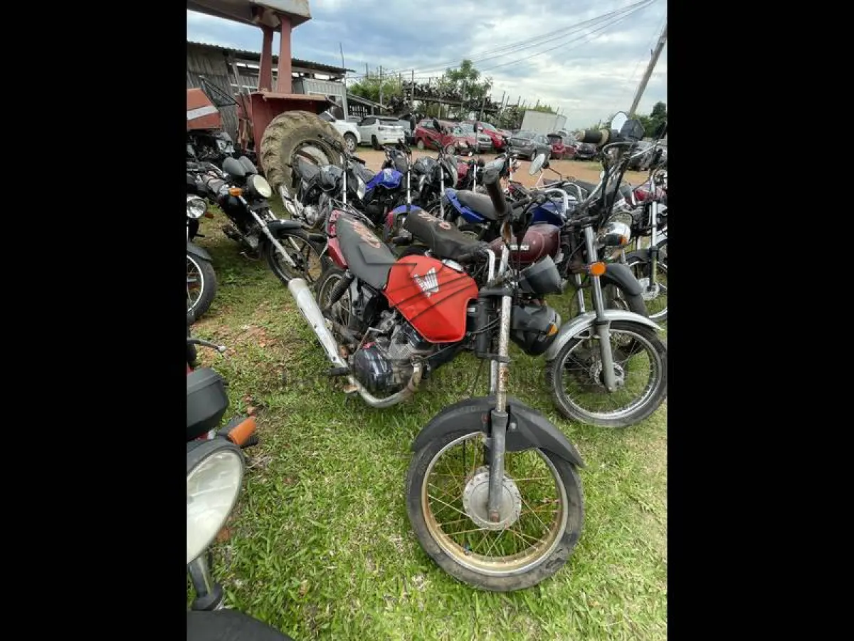 LOTE 0116