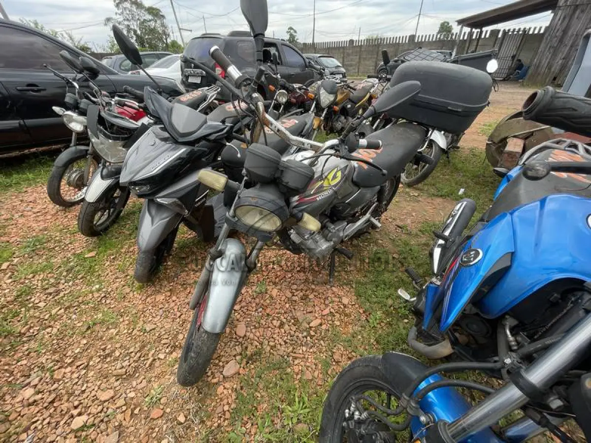 LOTE 0130