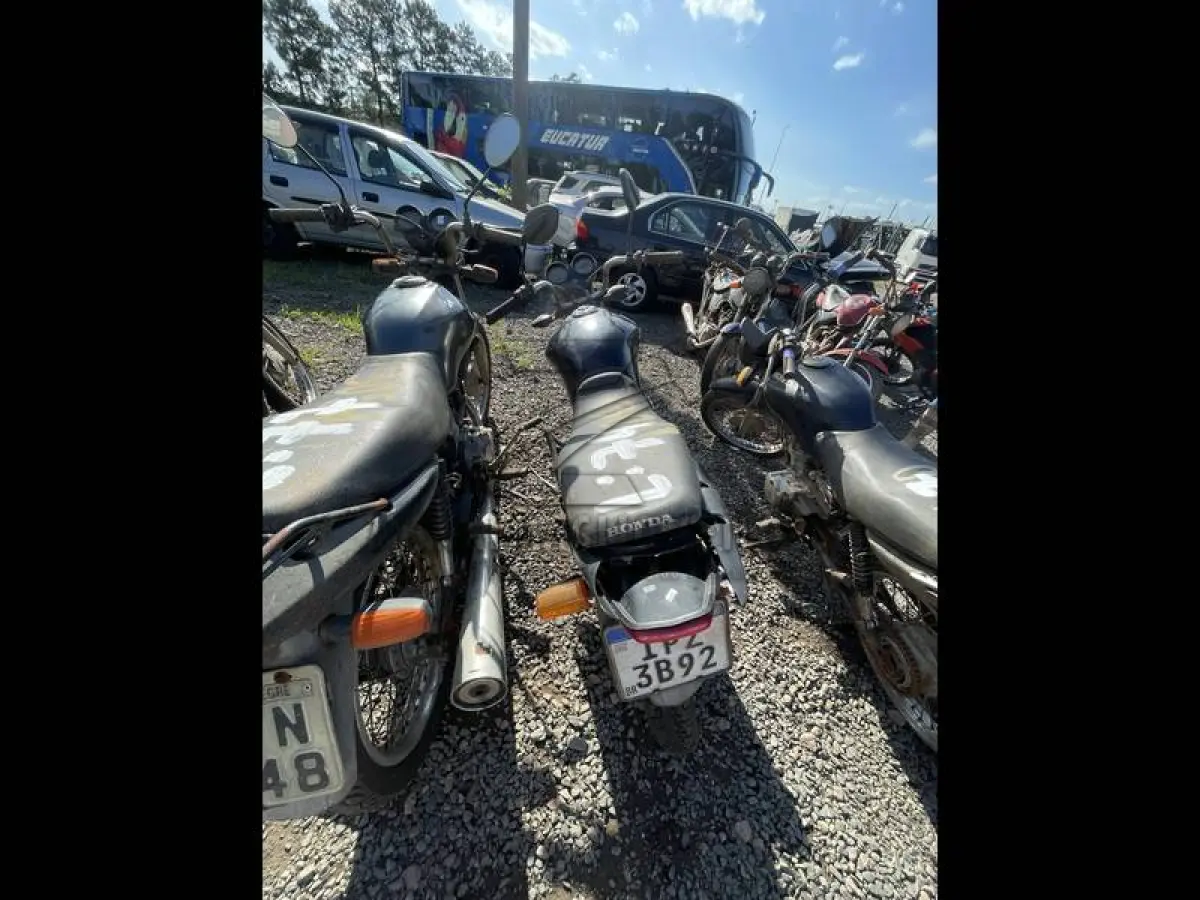 LOTE 0074