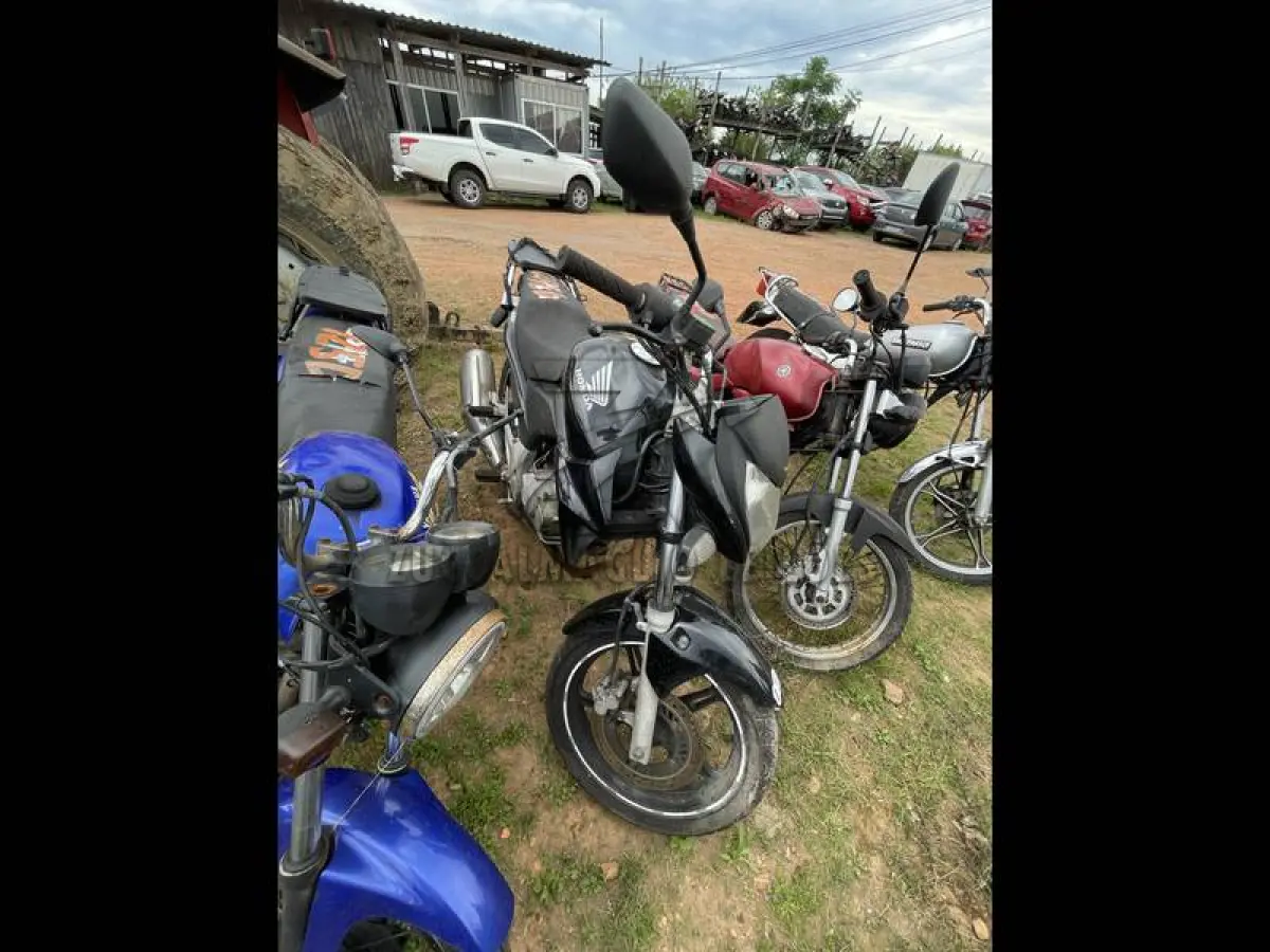 LOTE 0124