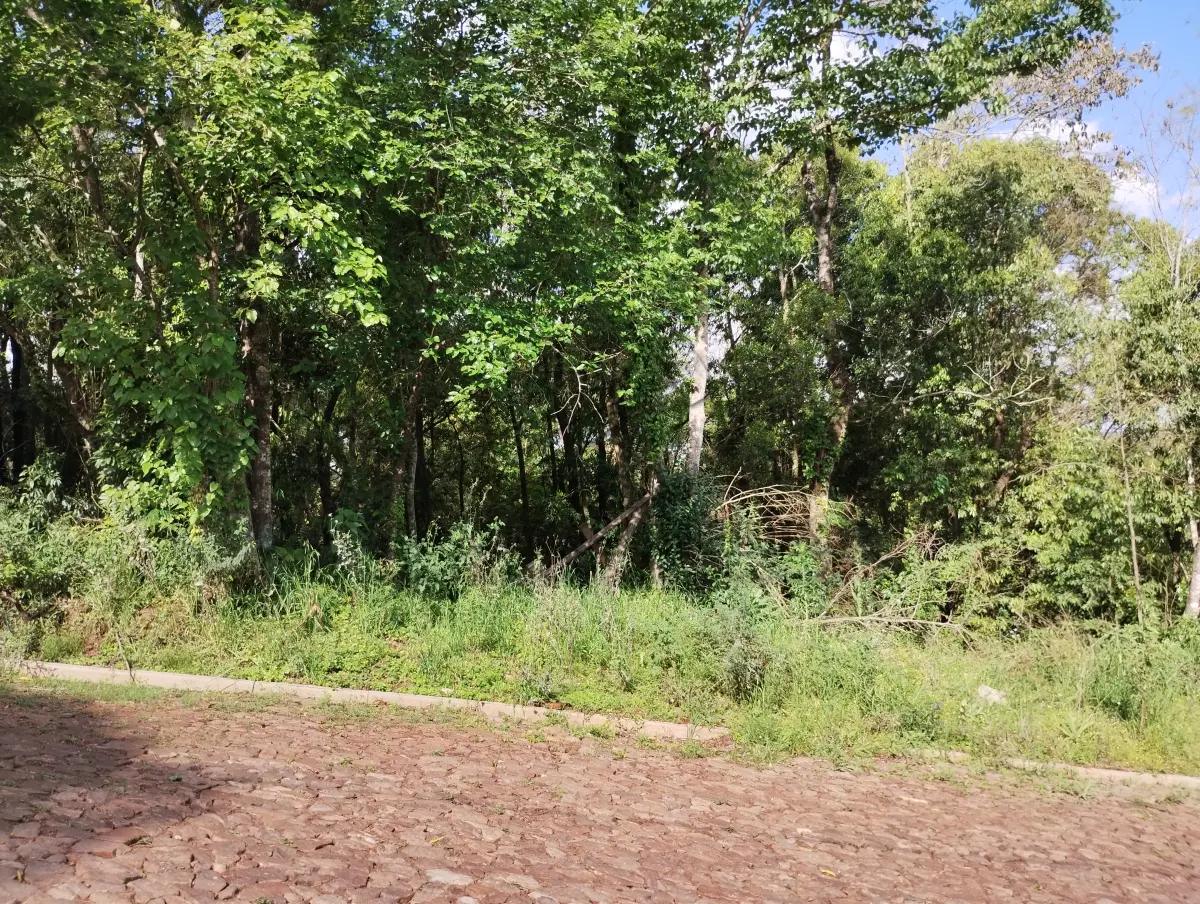 LOTE 010 - terreno Rua Guatemala (matricula 21850)