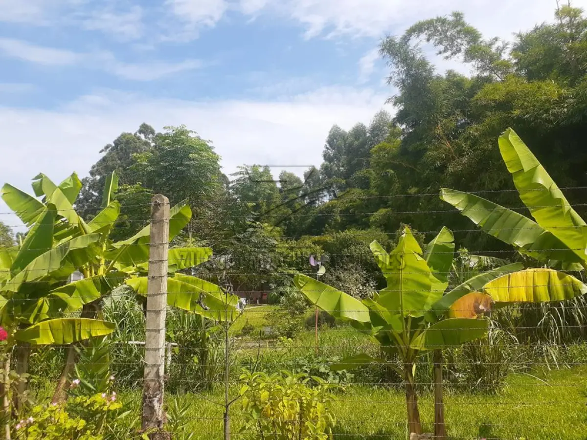 LOTE 001 - área de terras Estância Velha perto do Centro