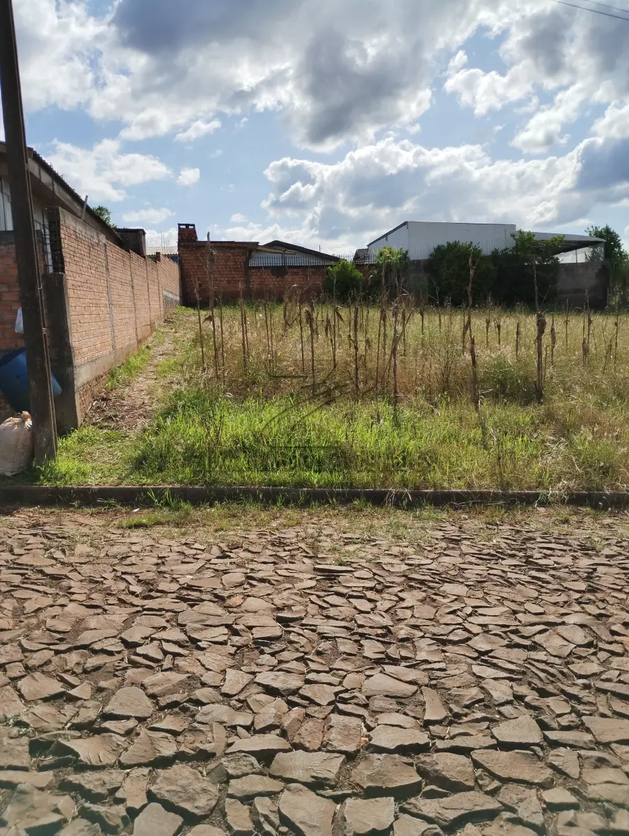 LOTE 013 - terreno Rua Osvino Stiegemeier (matricula 22464)