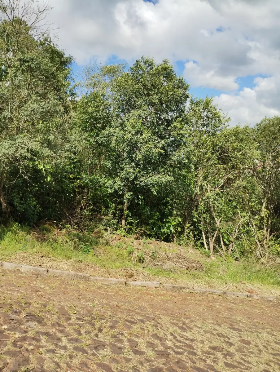 LOTE 007 - terreno Rua Robert Ruff (matricula 8426)