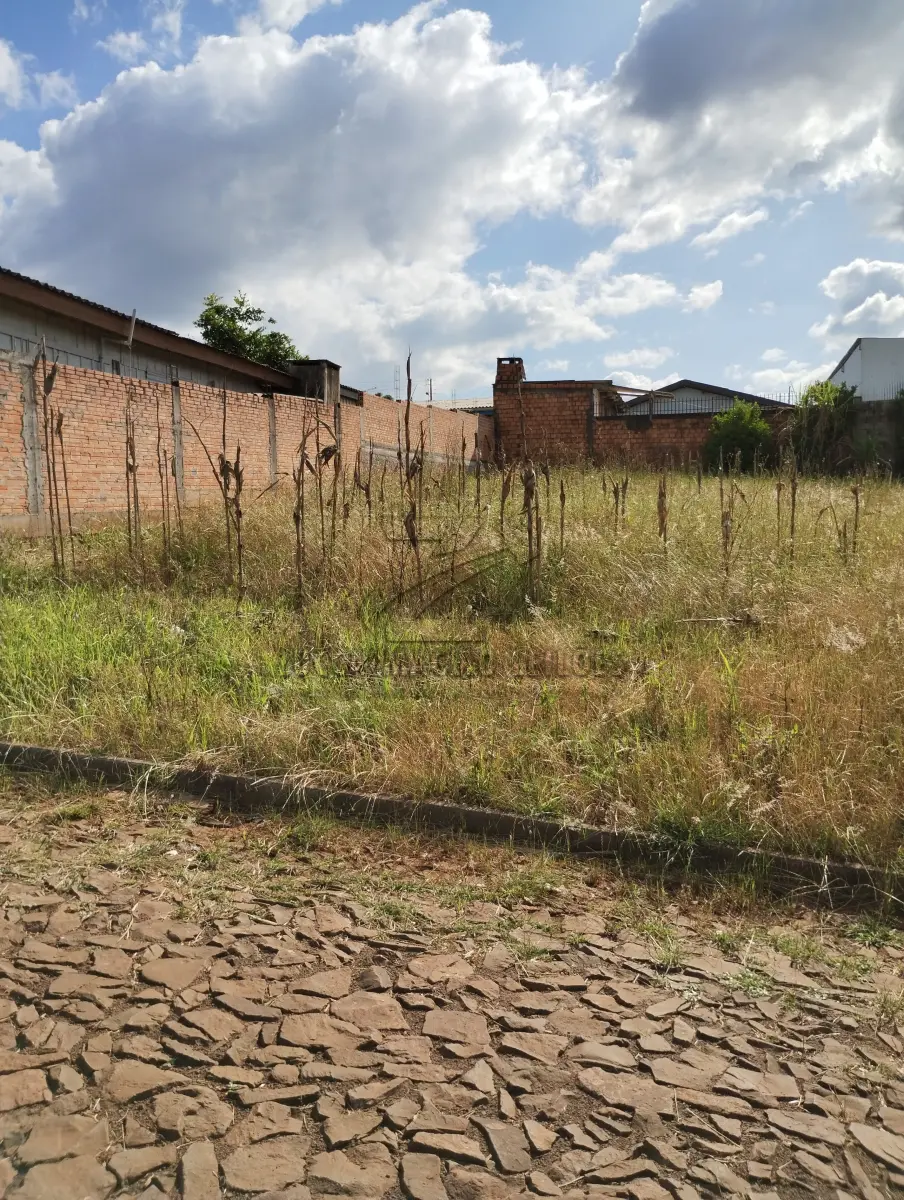 LOTE 013 - terreno Rua Osvino Stiegemeier (matricula 22464)