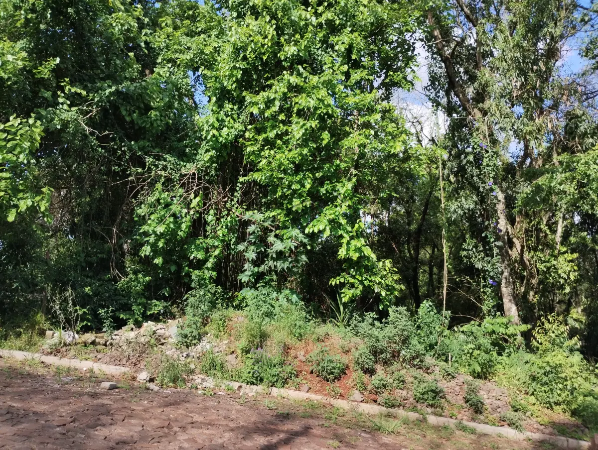 LOTE 011 - terreno Rua Guatemala (matricula 21849)