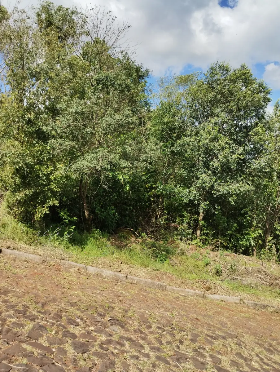 LOTE 007 - terreno Rua Robert Ruff (matricula 8426)