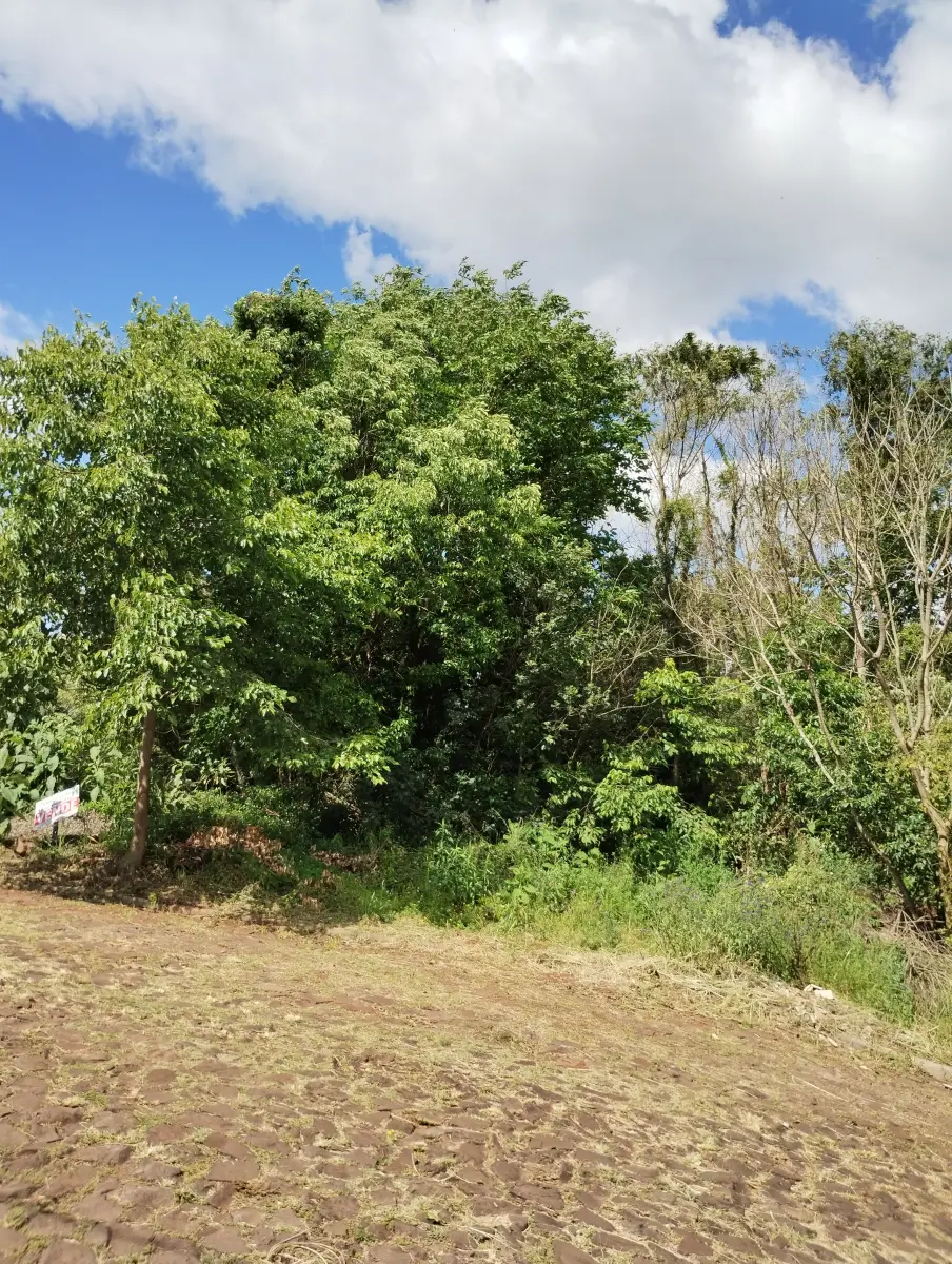 LOTE 008 - terreno Robert Ruff (matricula 8425)