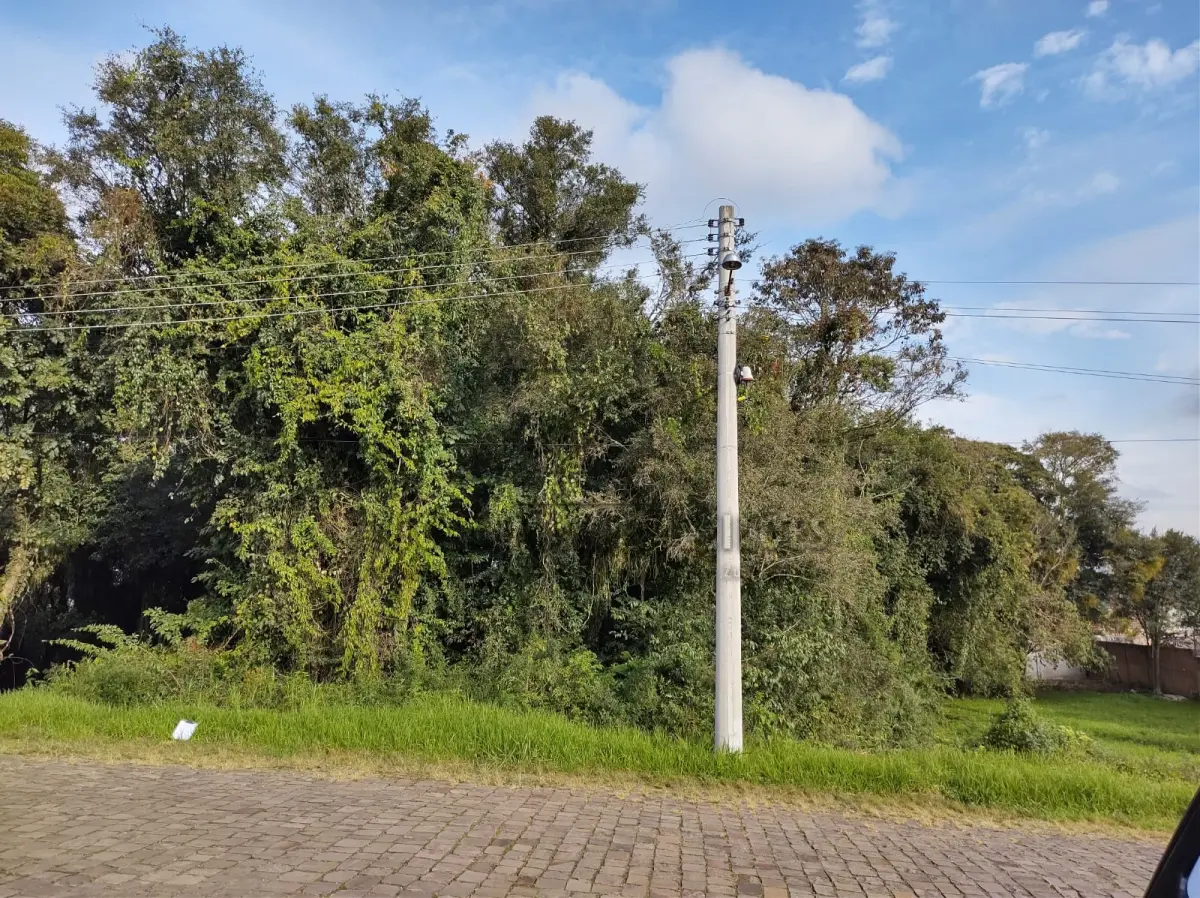 LOTE 019 - Terreno na Rua Antonio Beltrame , bairro Jardim Gloria  (PARCELAMENTO DIRETO COM A PREFEITURA)