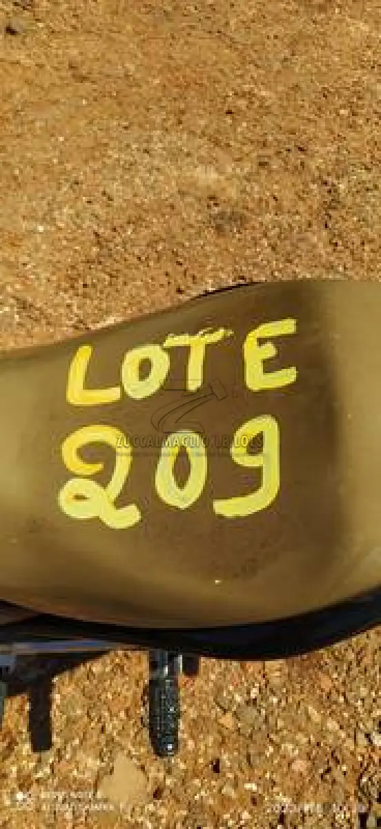 LOTE 0209