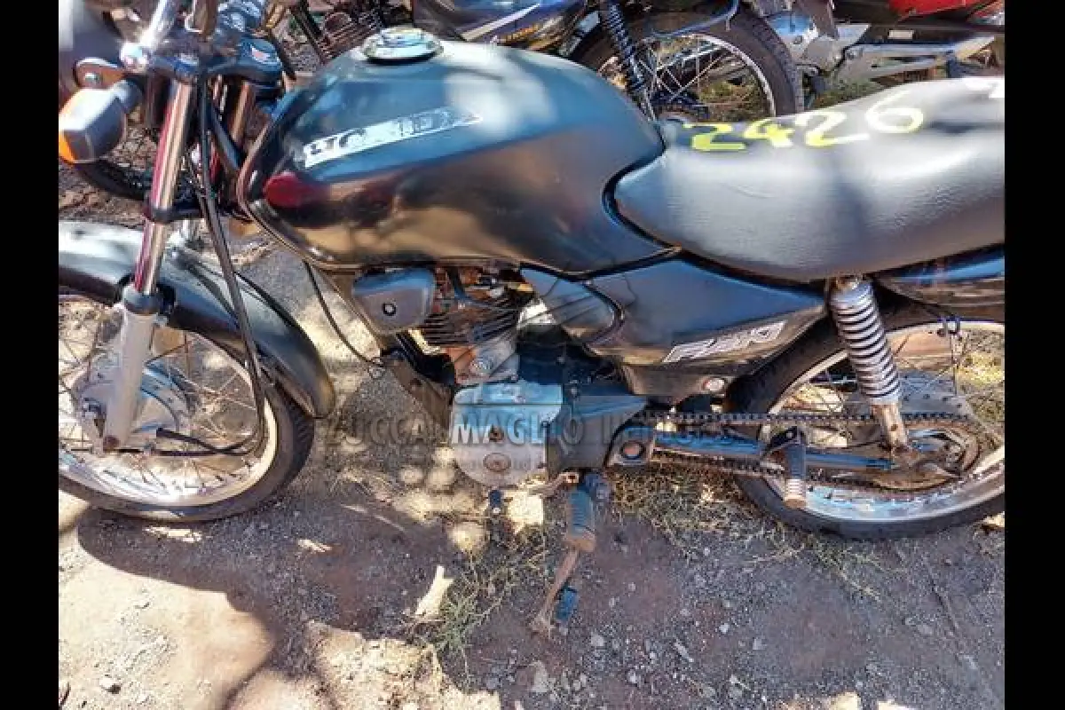LOTE 0244