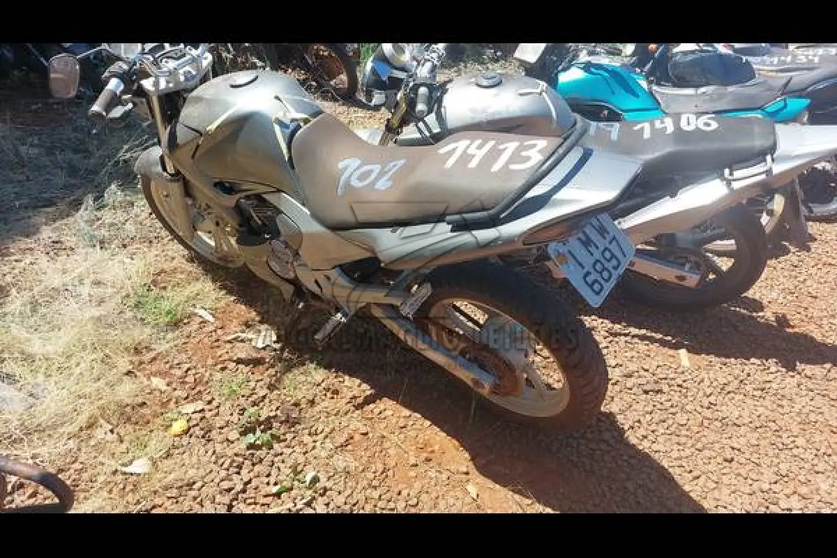 LOTE 0102