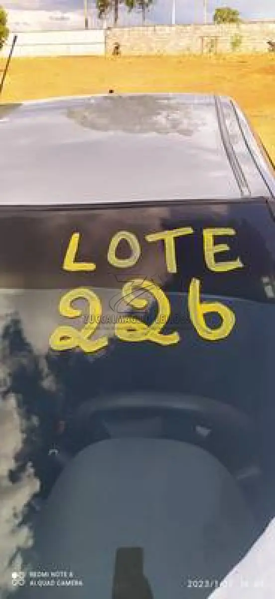 LOTE 0226
