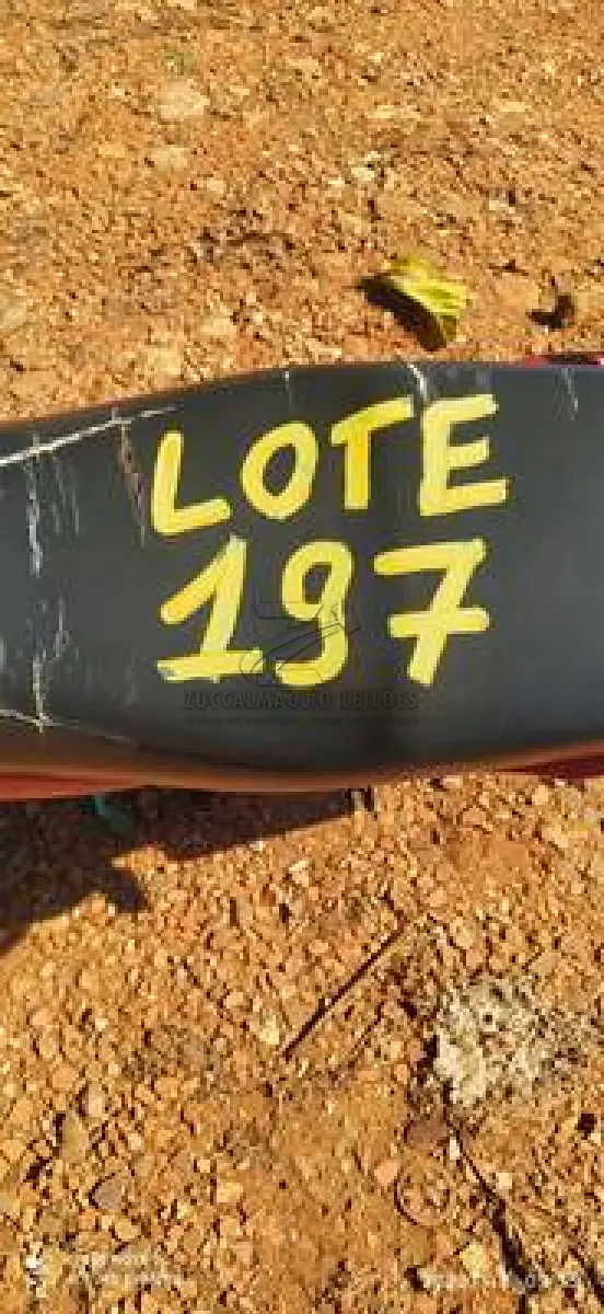 LOTE 0197