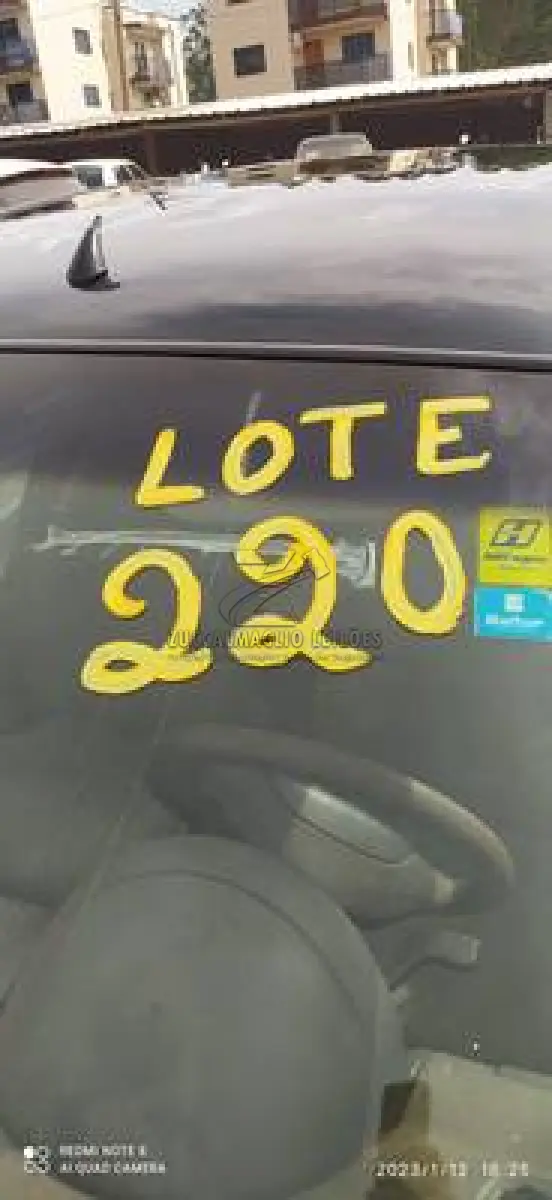 LOTE 0220