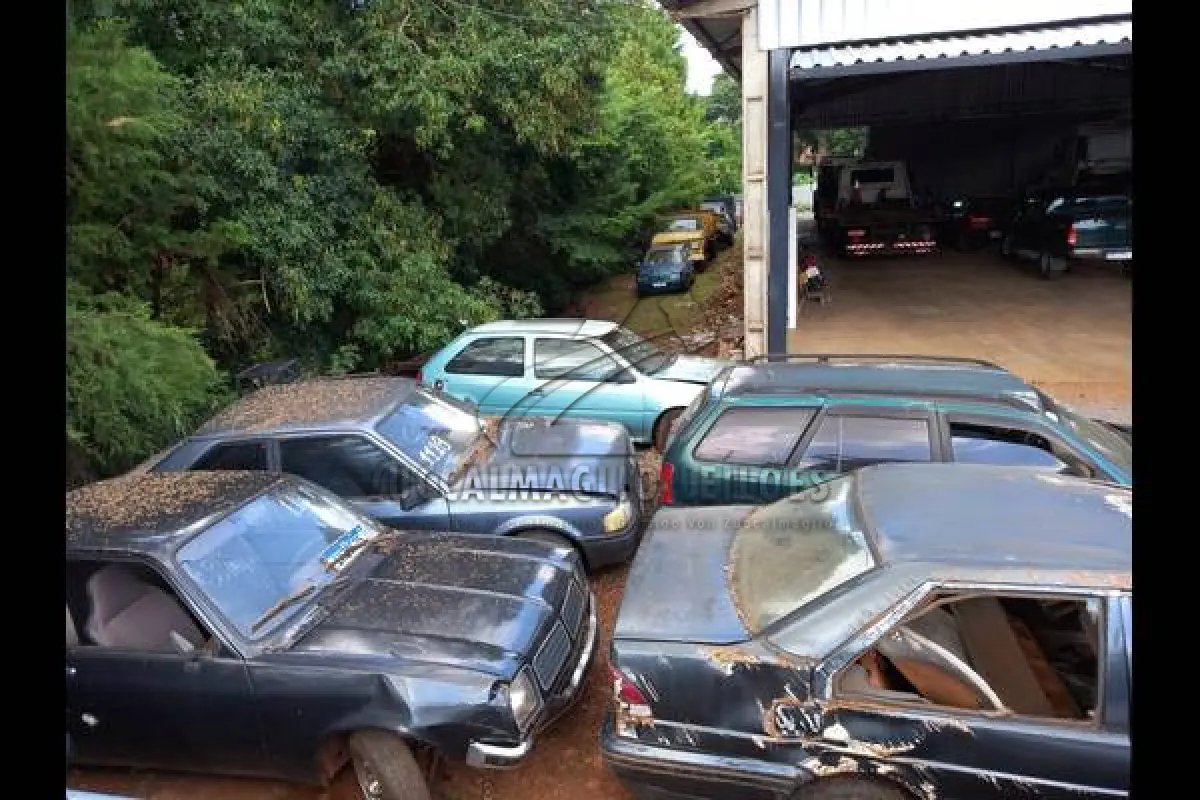 LOTE 0080