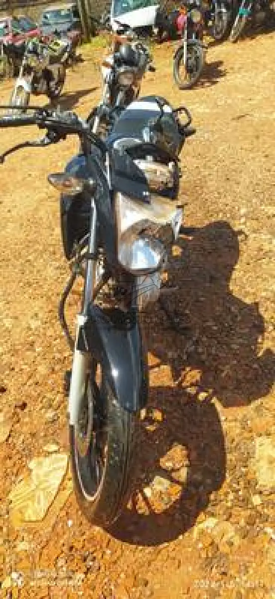 LOTE 0205