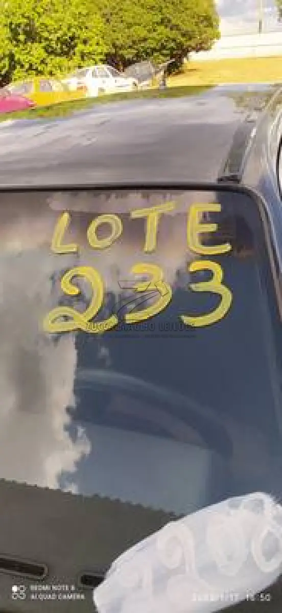 LOTE 0233