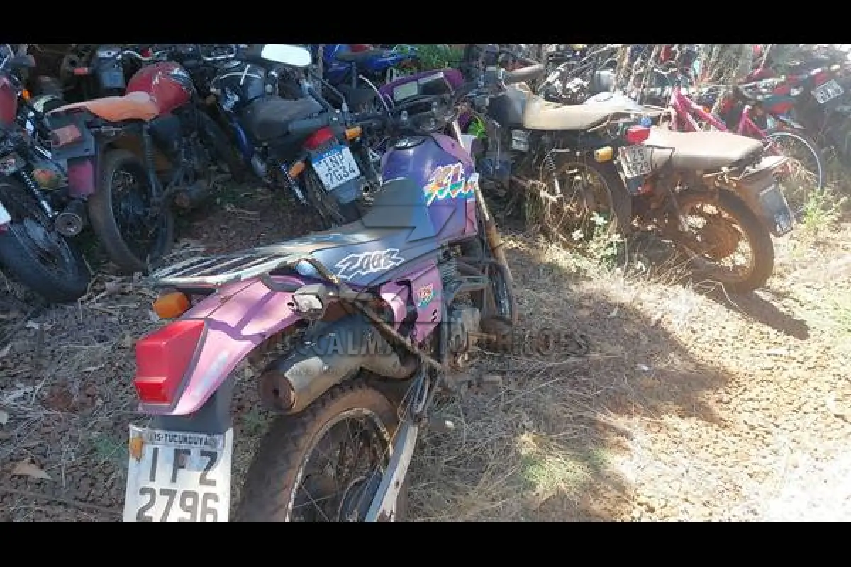 LOTE 0096