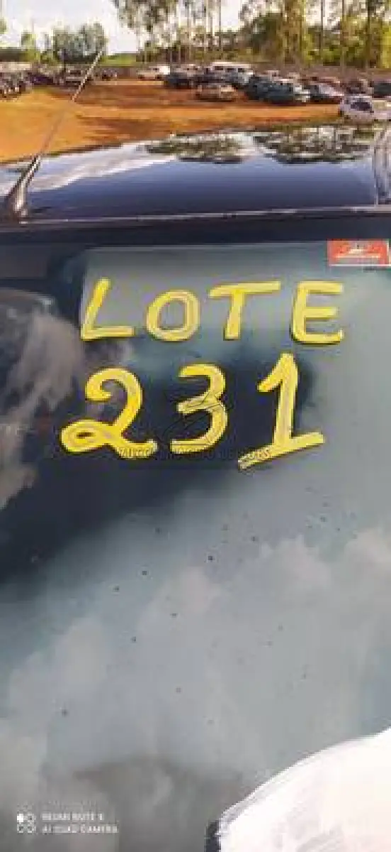 LOTE 0231